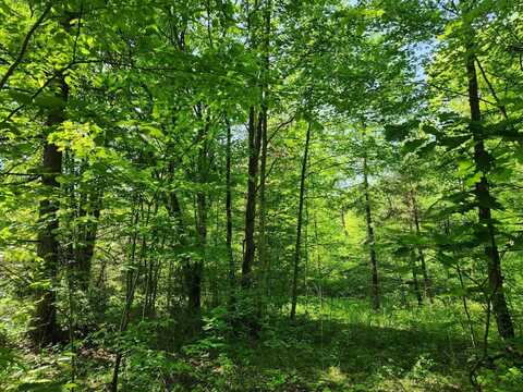 1.7 Marsh Rd., Erin, NY 14838