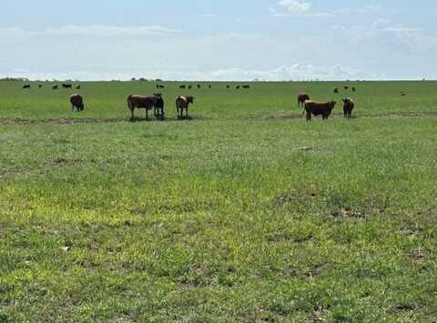 E. County Road 54 & N. County Road 216, Mutual, OK 73853