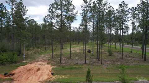 9118 Pine Preserve Ln, Jay, FL 32565
