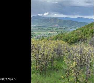 81 W Switzer Drive, Midway, UT 84049