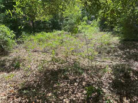 671 N GRIFFITH AVENUE, CRYSTAL RIVER, FL 34429