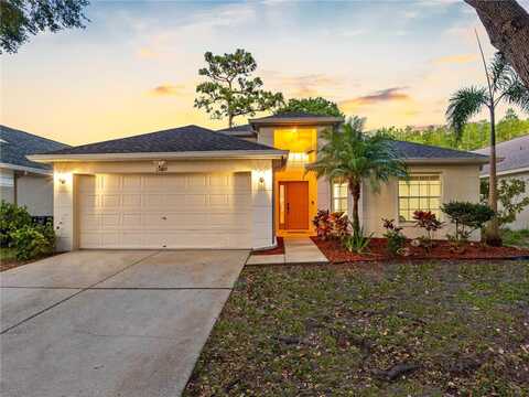 13409 FAWN SPRINGS DRIVE, TAMPA, FL 33626