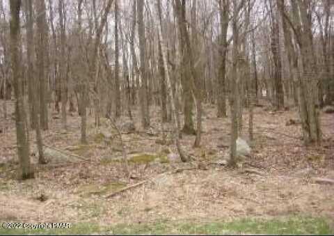 51 Birch, Blakeslee, PA 18610