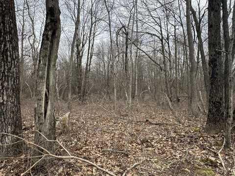 Lot 895 Hornbeam Ct 895 Court, Long Pond, PA 18334