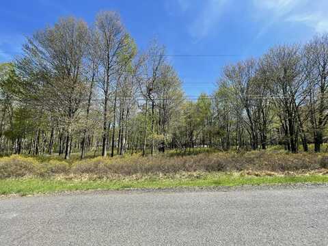Forest Hill Drive, Blakeslee, PA 18610