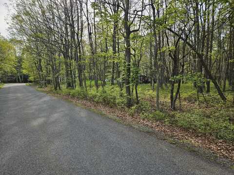 Berry Lane, Jim Thorpe, PA 18229