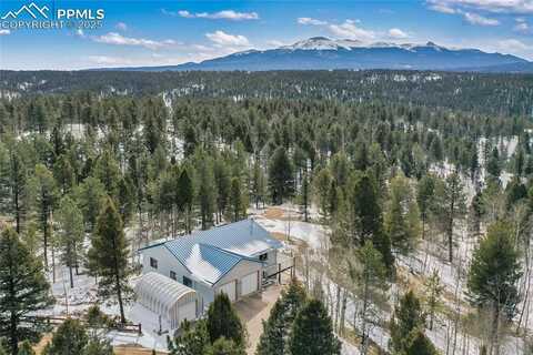 4261 County Road 51, Divide, CO 80814