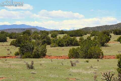 Upper Beaver Creek Road, Canon City, CO 81212