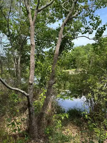 00 Springfield Drive, Lumberton, MS 39455
