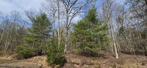 Lot 20.22 Woods Road, Barryville, NY 12719