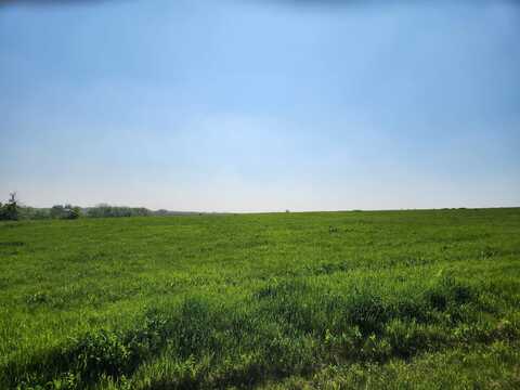 31-80 Country Club, LAKE CARROLL, IL 61046