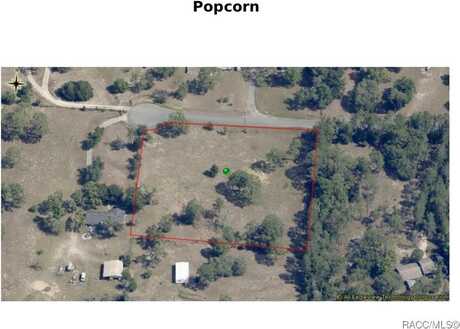 1502 N Popcorn Point, Inverness, FL 34453