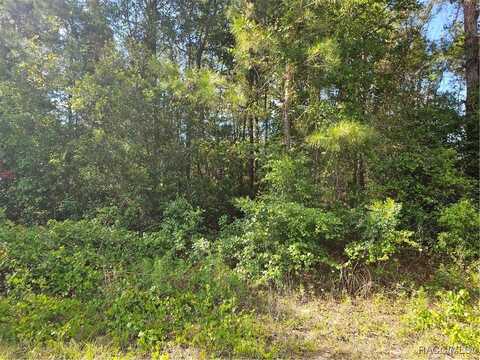 622 E Abady Lane, Citrus Springs, FL 34434