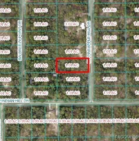 Tbd SW Pineapple Hill Drive, Dunnellon, FL 34431