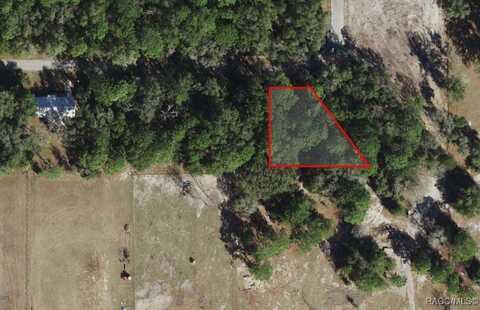 9542 W Sandra Street, Crystal River, FL 34428