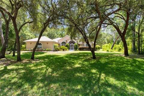 952 E Whitecloud Lane, Hernando, FL 34442