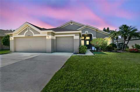 22431 Willow Lakes Drive, Lutz, FL 33549