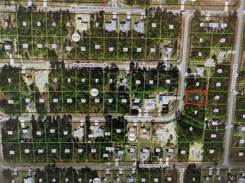 1454 W Diamond Drive, Citrus Springs, FL 34434