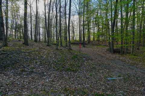 N12655 HEMLOCK SHORES Court, ATHELSTANE, WI 54104