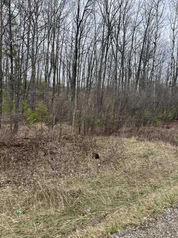ONE MILE Road, DUNBAR, WI 54119