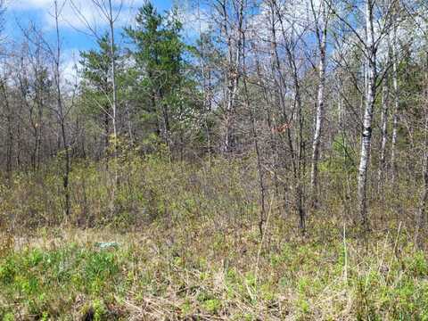 TOWER LINE Road, BEECHER, WI 54156