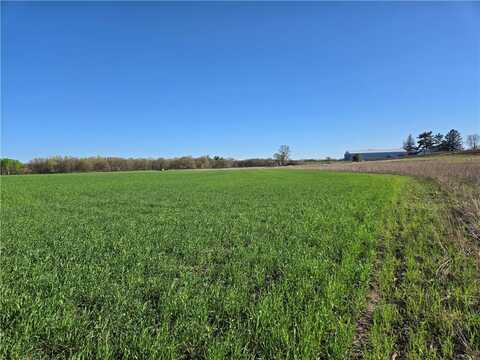 16.74 Acres County Road N, Wheeler, WI 54772