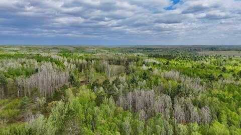 0 Larsen Road, Hayward, WI 54843