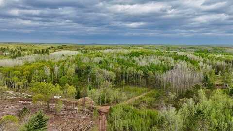 0 Larsen Road, Hayward, WI 54843