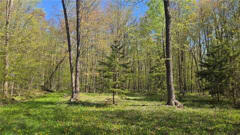 N 900 Joes Road, Conrath, WI 54731