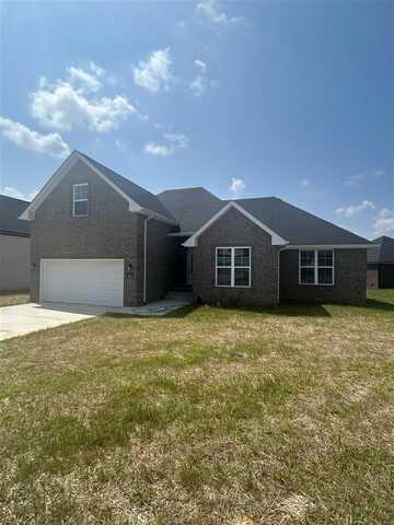 3271 Black Walnut Court, Bowling Green, KY 42104