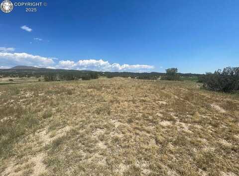 3562 Saddle Drive, Canon City, CO 81212