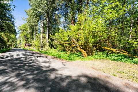 0 E Elk Park RD, Welches, OR 97067