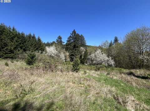 NS, Forest Grove, OR 97116