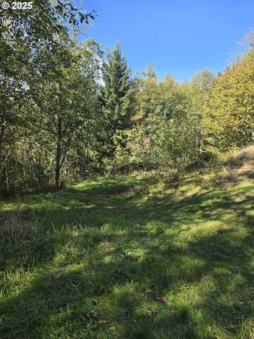 0 2500 RD, Toutle, WA 98649