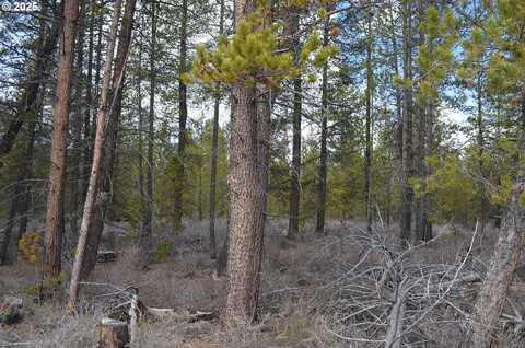 Forest Service RD, Gilchrist, OR 97737
