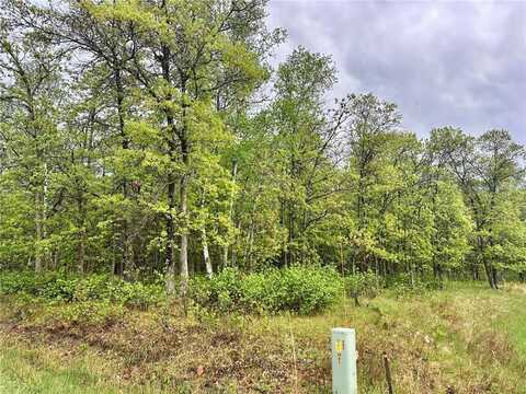 Tbd Lot 3 204th St, Park Rapids, MN 56470