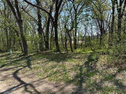 Xxx 309th Avenue, Princeton, MN 55371