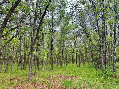 Tbd Lot 4 204th St, Park Rapids, MN 56470