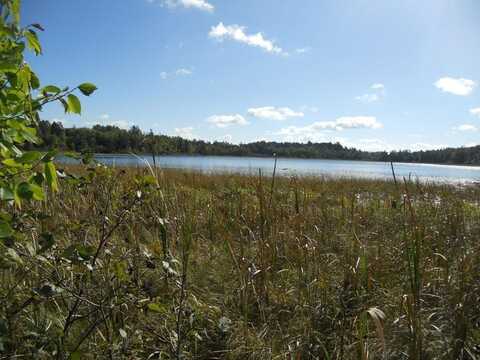 Tbd County 118 Road NW, Backus, MN 56435
