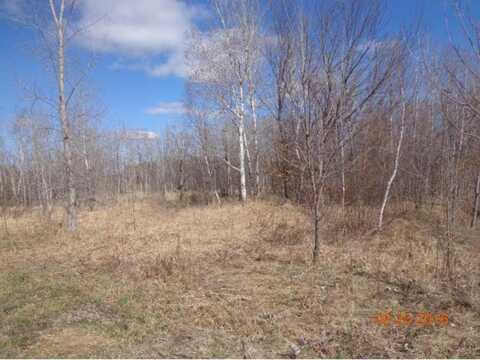 17205 Lincoln Street NE, Ham Lake, MN 55304