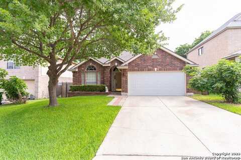 1719 pinetum, San Antonio, TX 78213