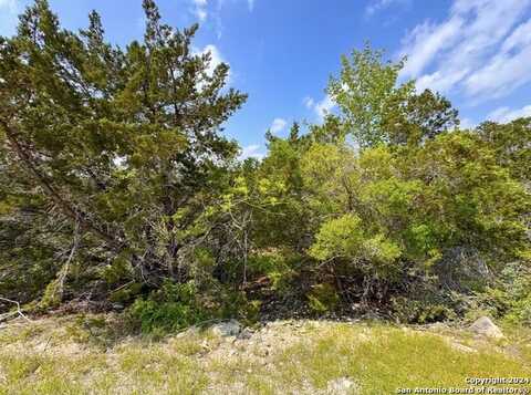 985 OBLATE DR, Canyon Lake, TX 78133