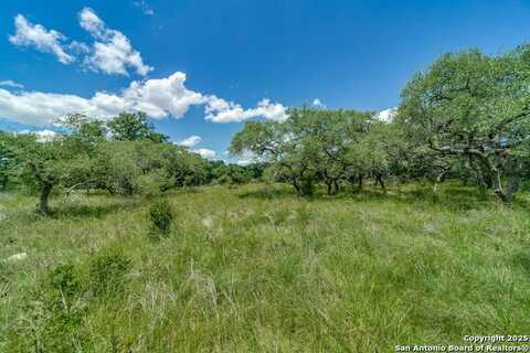 34761 Carries Creek, Bulverde, TX 78163