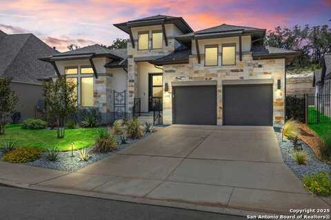 24225 DOWNHILL LIE, San Antonio, TX 78261