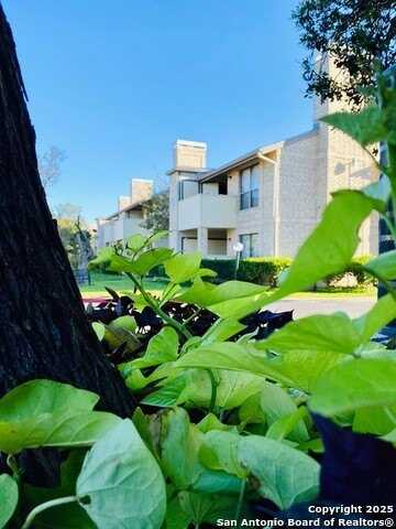 11843 Braesview, San Antonio, TX 78213
