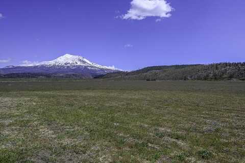 4900 Jackson Ranch Rd, Weed, CA 96094