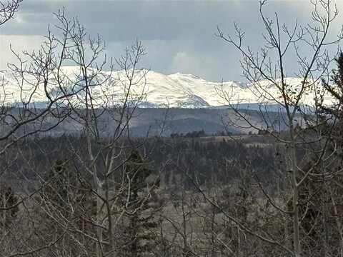 287 & 234 WARCLUB COURT, Como, CO 80432