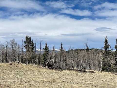 400 VULTURE LANE, Como, CO 80432