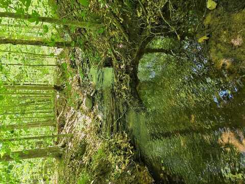 Holiday Lake Rd, Appomattox, VA 24522