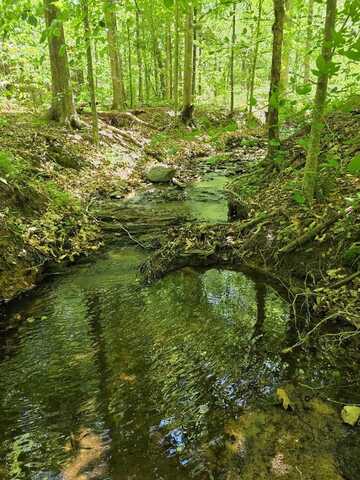 Holiday Lake Rd, Appomattox, VA 24522